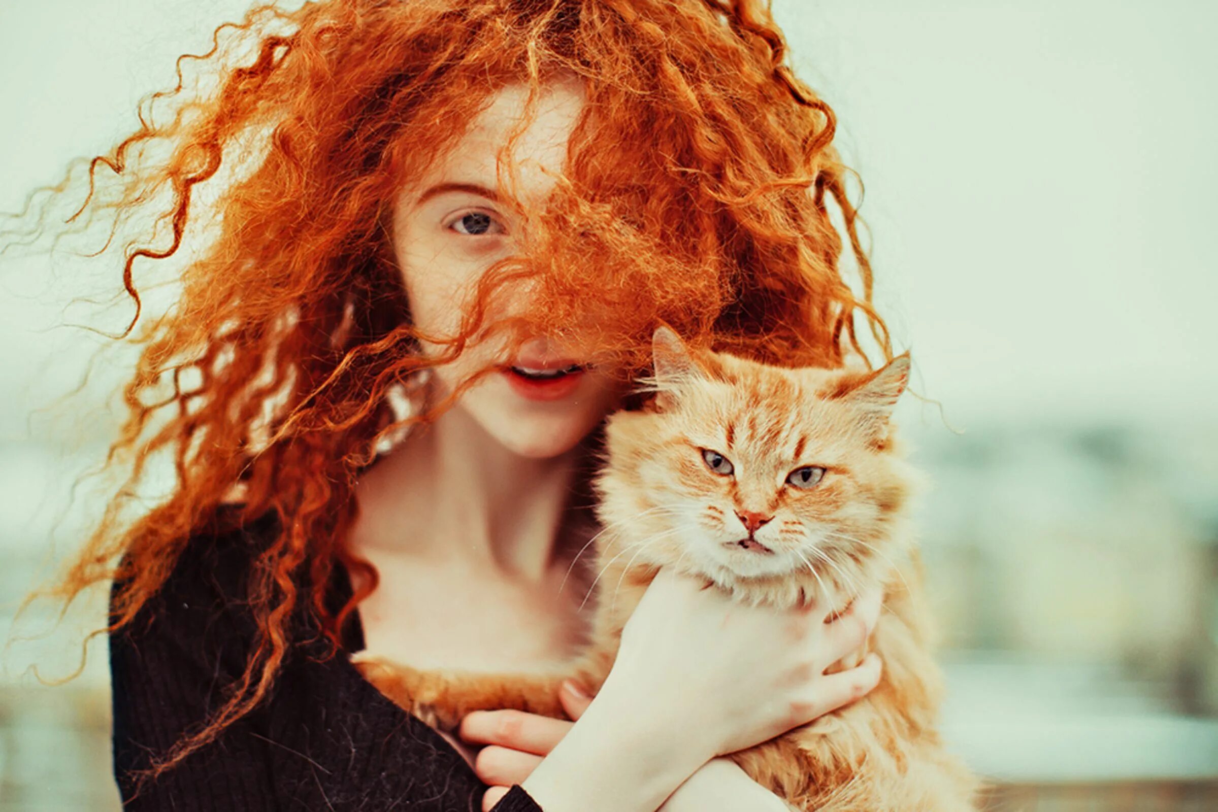 Неволина рыжее счастье. Рыжие девушки. Девушка с рыжими волосами. Девушка с рыжим котом. Рыжая светка