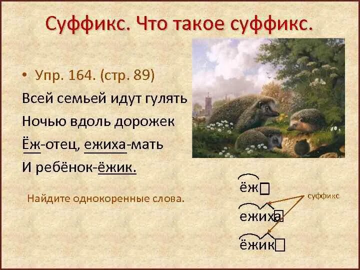 Суффикс слова низкий. Ежик суффикс. Ежик однокоренные слова. Еж и Ежик это однокоренные слова. Суффикс.