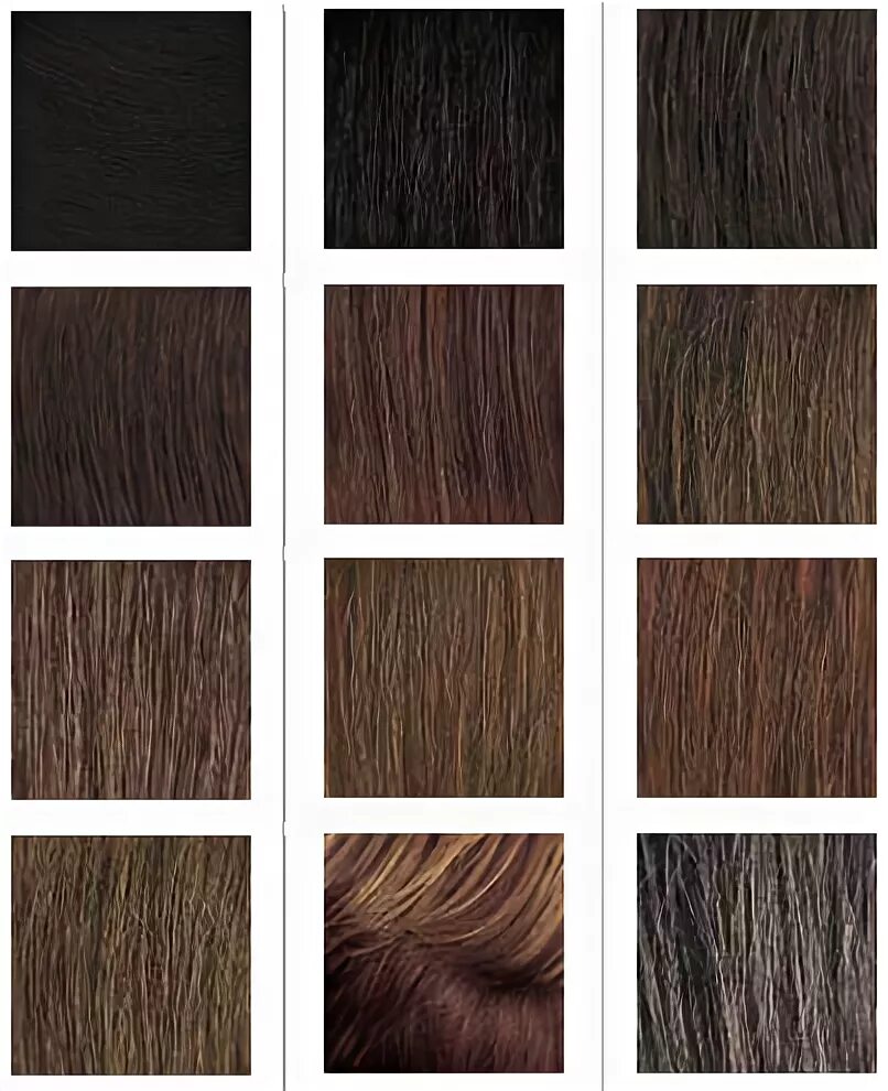 палитра русого цвета волос у мужчин. цвета волос шатен брюнет блондин. брюнет шатен русый. цвета волос шатен брюнет блондин. дэвин пэйзли.