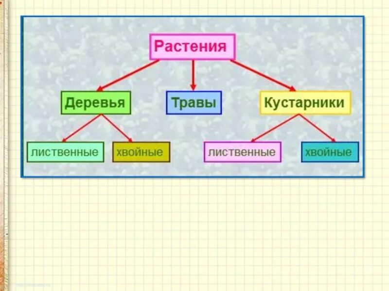 Какие бывают растения окружающий мир 2 класс. Виды растений деревья кустарники травы. Виды растений окружающий мир. Какие бывают растения схема. Какие бывают растения 2 класс.