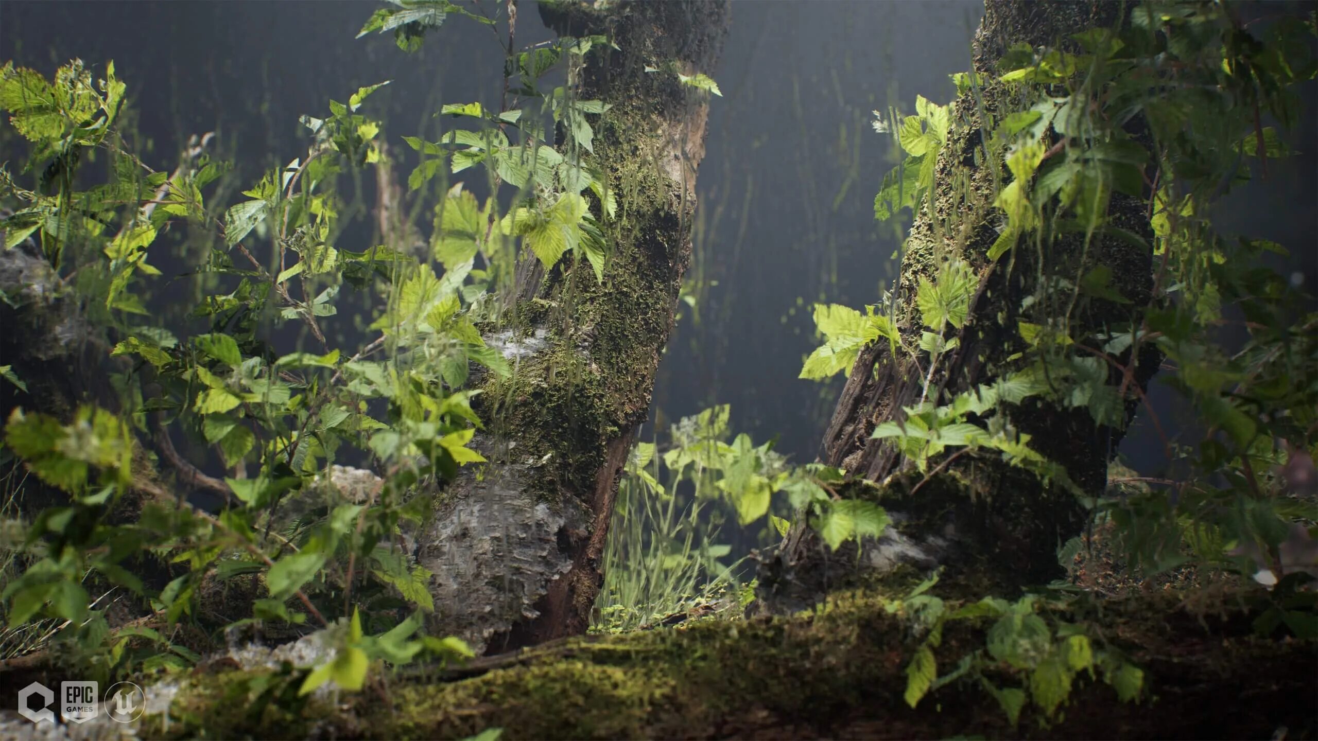 Unreal engine 5 demos. Unreal engine 5. quixel unreal engine 5. unreal engine 5 вся красота. unreal engine 5 megascans.