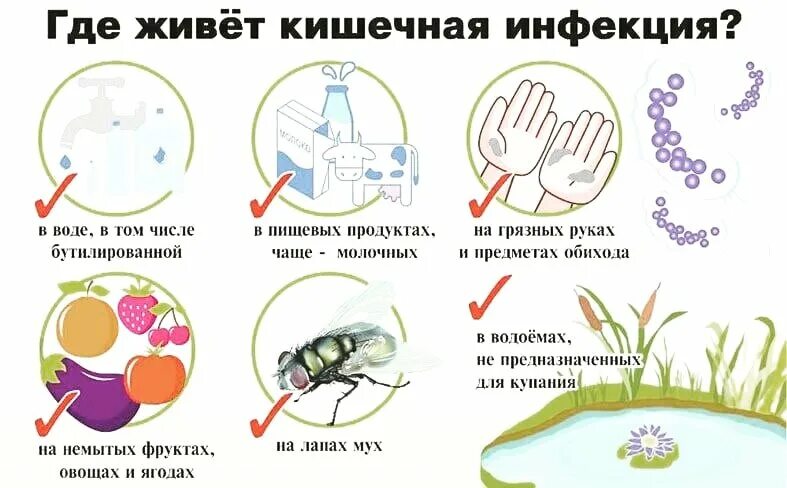 Кишечные инфекции тесты с ответами. Основные кишечные инфекции. Вирусные кишечные инфекции перечислить. Кишечные инфекции картинки. Виды кишечных инфекций у детей.