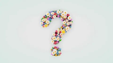 Flower questions