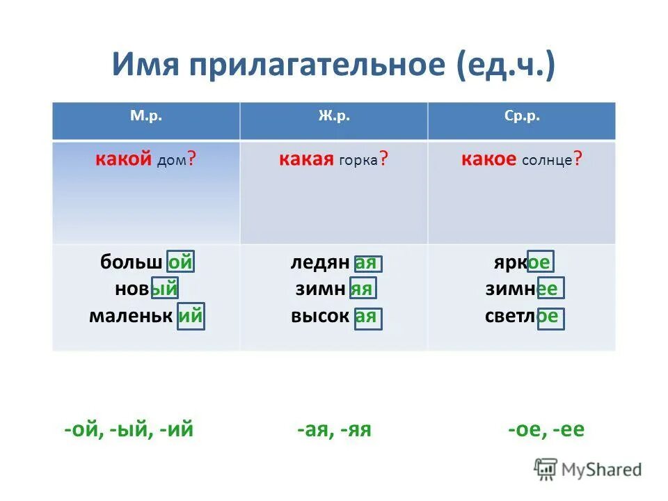 Первый род прилагательного