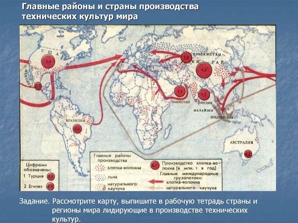 Главные районы производства масличных культур. Основные районы производства. Главные страны производства хлопка.