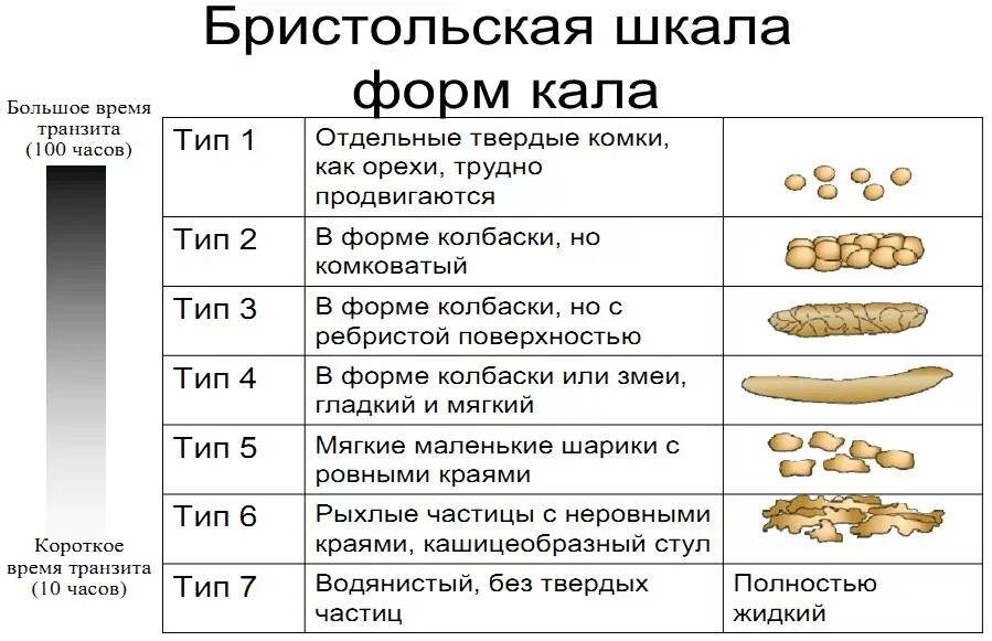 Утром жидкий стул у взрослого длительное время. Бристольская шкала цвета кала. Бристольская шкала форм кала причины. Бристольская шкала Тип 1. Бристольская шкала формы фекалий.