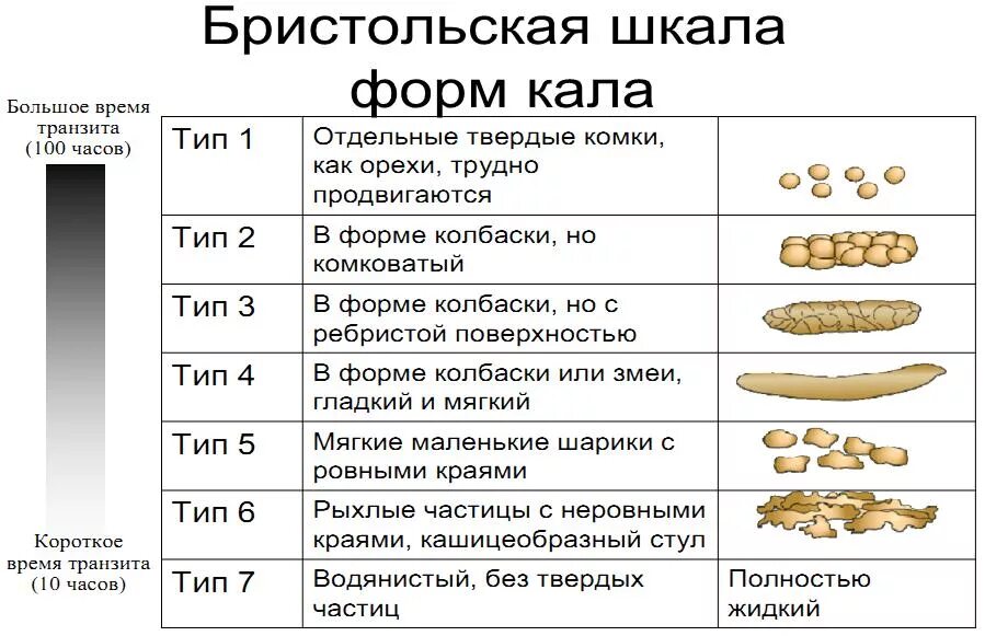 Сколько лет поносу. Бристольская шкала стула норма. Бристольская шкала формы кала. Бристольская шкала оценки кала. Бристольской шкале формы стула.