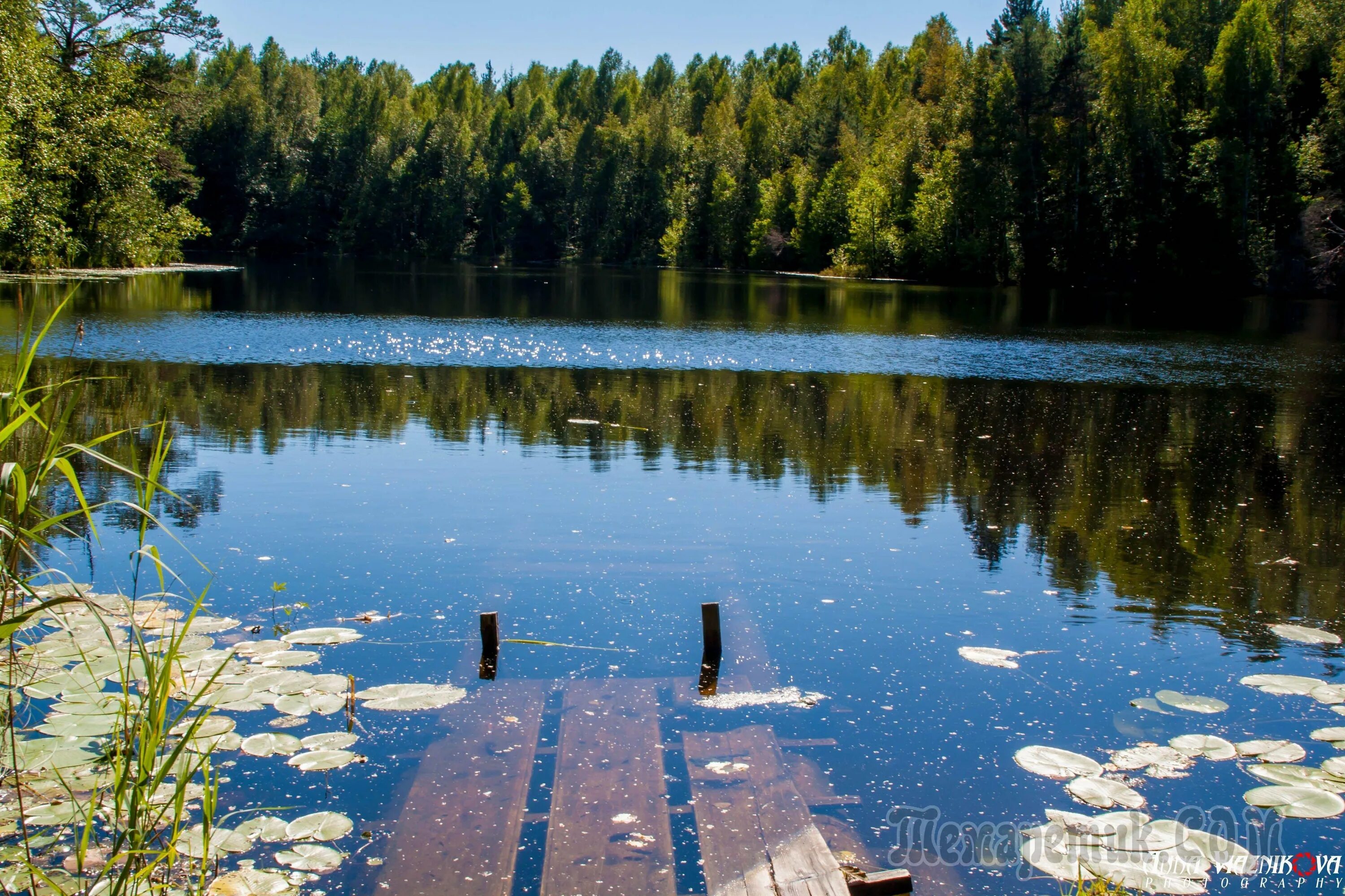 Озеро Рой Нижегородская область. Озеро Родионово Сосновский район Нижегородская область. Озеро Рой Сосновский район. Озеро Светлояр Нижегородская.