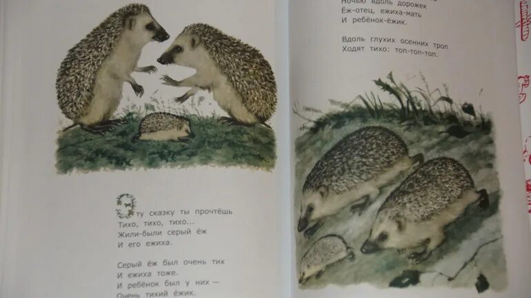 Тихо в лесу читать. Маршак с. &quot;тихая сказка&quot;. тихая сказка эту сказку ты прочтёшь. эту сказку ты прочтешь тихо тихо.