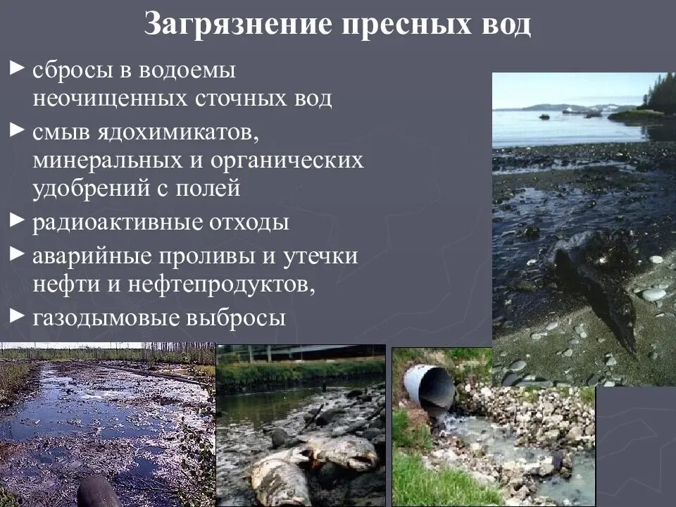 Природные загрязнители пресных вод. Причины загрязнения воды. Последствия загрязнения водоемов. Причины загрязнения водоемов. Проблема загрязнения природных ресурсов