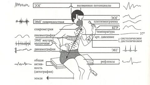 Метод вызванных потенциалов