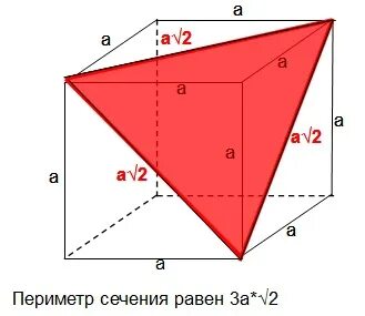 Периметр куба равна