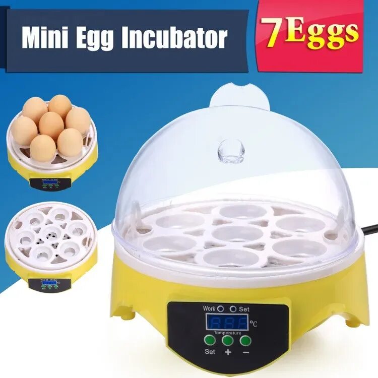 Инкубаторы для яиц птиц купить. Mini Egg incubator 56. Инкубатор для яиц Egg incubator. Mini Intelligent 12 Egg. Инкубатор Egg incubator HHD ew9-7.