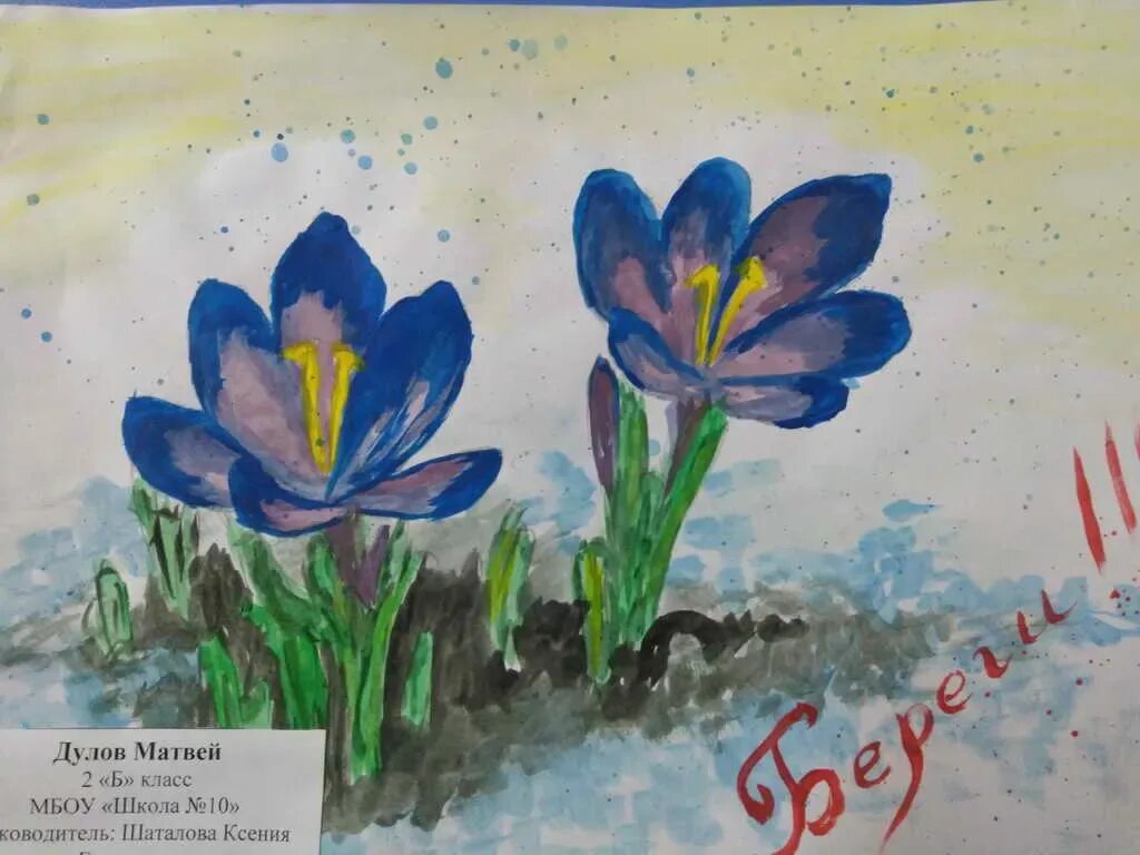Плакат в защиту раннецветущих растений чувашской республики. Рисунок на тему первоцветы. Берегите первоцветы рисунки. Рисование первоцветы. Сохраним первоцветы.