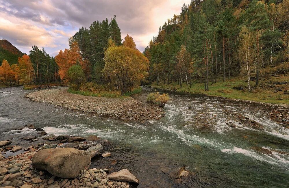 Река куба горный алтай. Река шапсухо. Казыр порог водопадный. Река пекша. Река ипель.