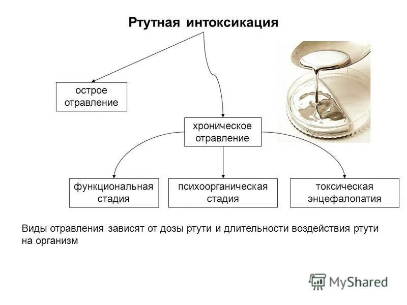 Хроническая ртутная интоксикация патогенез. Патогенез отравления ртутью. Интоксикация ртутью патогенез. Острое отравление ртутью патогенез. Отравления соединениями ртути