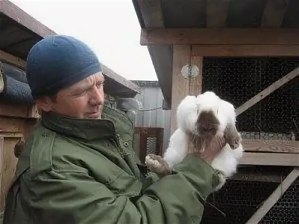 Подсобное хозяйство субсидии