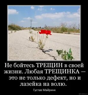 Не смотря не на ч