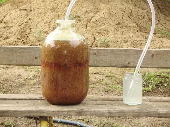 Крепкая брага. Самогон из картошки. брага для самогона. брага из картофеля. брага из картошки.