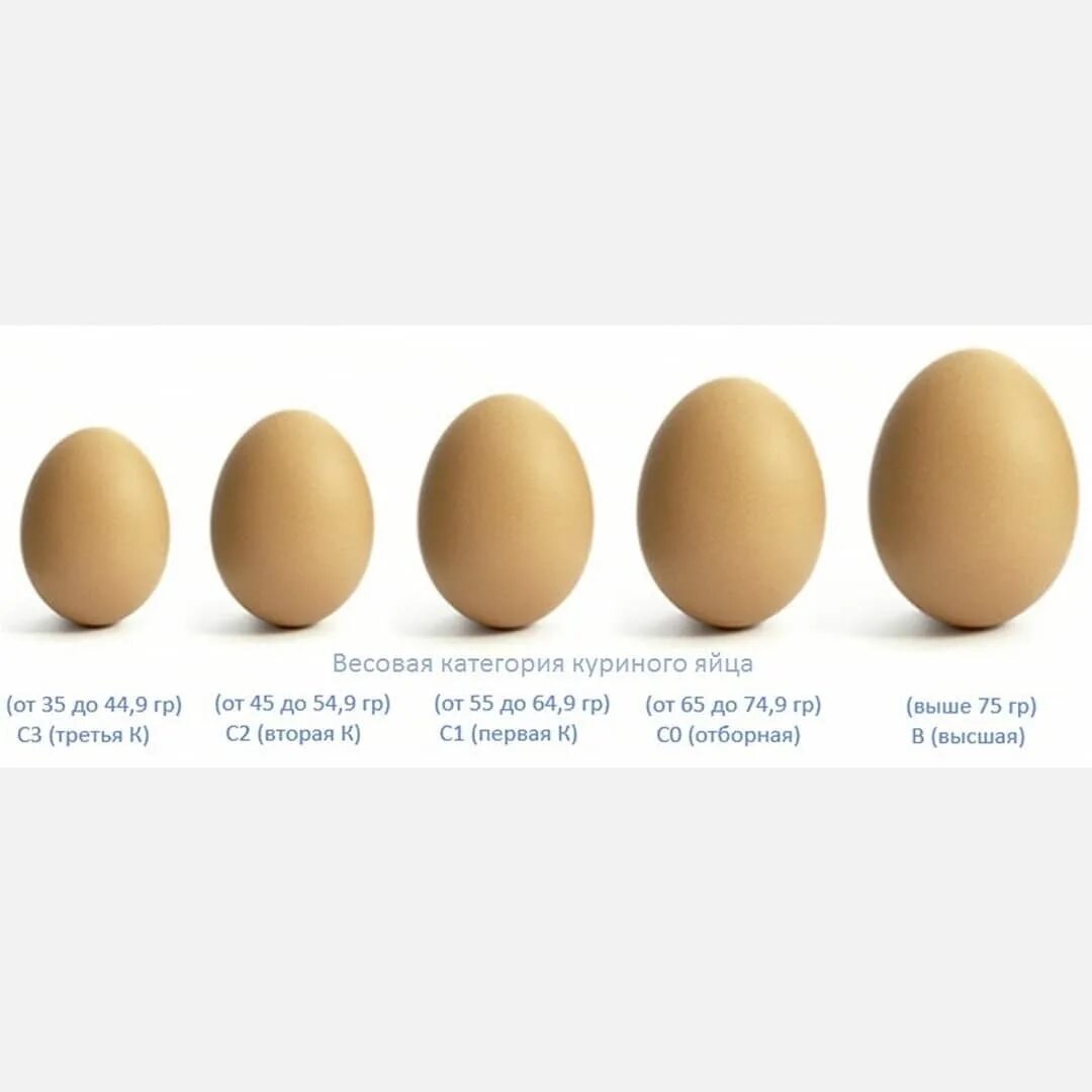 Категории яиц куриных с0. Яйца св с0 с1. Вес 1 яйца куриного. Вес куриного яйца с0. Размер куриного яйца.