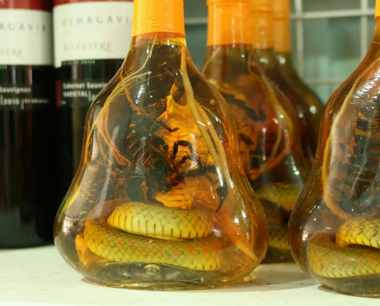 Настойка на змее. Змеиное вино (Вьетнам). Женьшеневое Змеиное вино Китай.