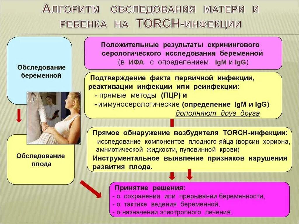 Беременность и заболевания матери. Торч инфекции. Профилактика торч инфекций. Торч инфекции диагностика. Профилактика Torch инфекции.