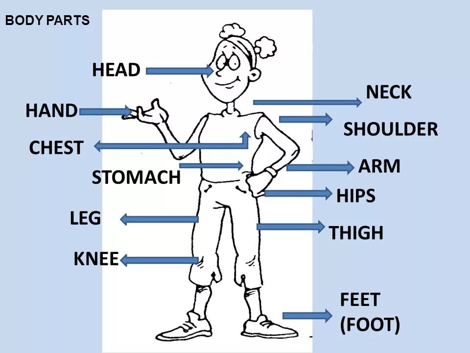 Head add. Body Parts. Parts of the body презентация. Parts of the body презентация ppt. Parts of the body черно белое.