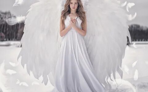 /didp+angel