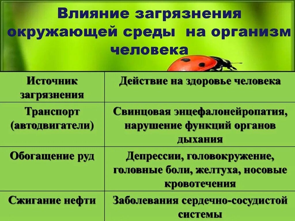 Влияние окружающей на развитие организмов. Влияние экологии на организм человека кратко. Влияние окружающей среды на человека. Влияние окружающей среды на здоровье человека. Влияние загрязнения окружающей среды на человека.