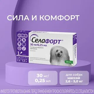 Селафорт от власоедов для кошек