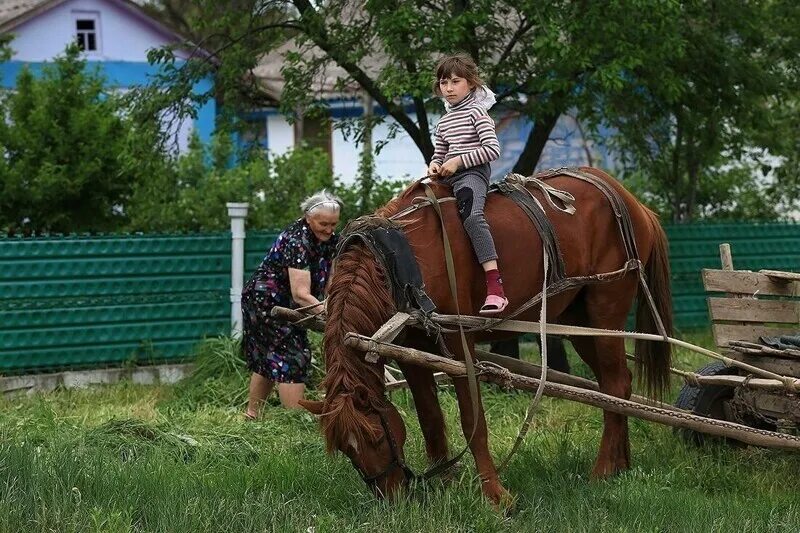 Развлечения в деревне