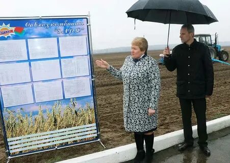 Заря мозырь