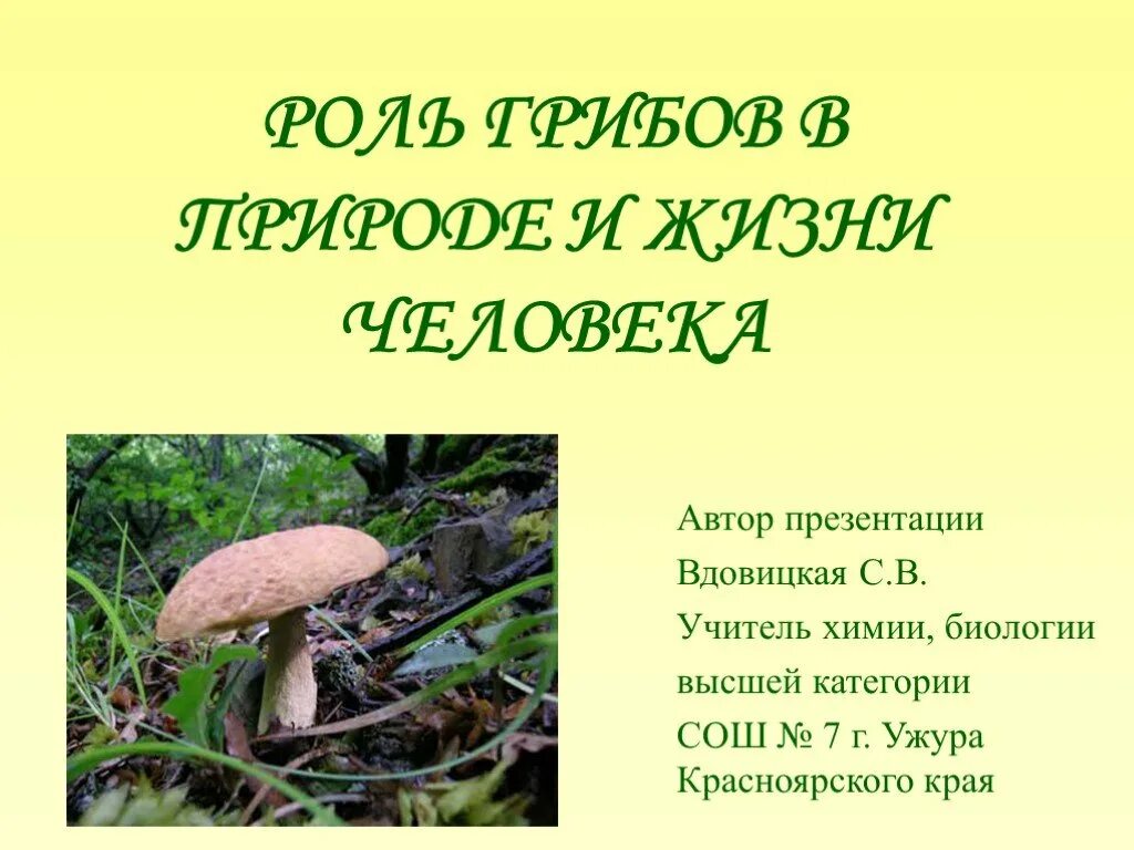 Значение грибов в природе 7 класс биология. Роль грибов в жизни человека. Роль грибов в природе. Роль грибов в природе и жизни человека. Грибы в жизни человека и в природе.