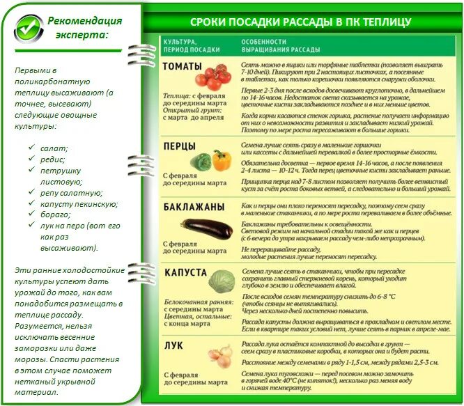 Можно ли сажать огурцы после перца. Возраст рассады овощей для высадки в теплицу таблица. Сроки высадки рассады в теплицу. Сроки высадки семян на рассаду. Сроки рассады для высадки в грунт.