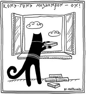 Коте готе