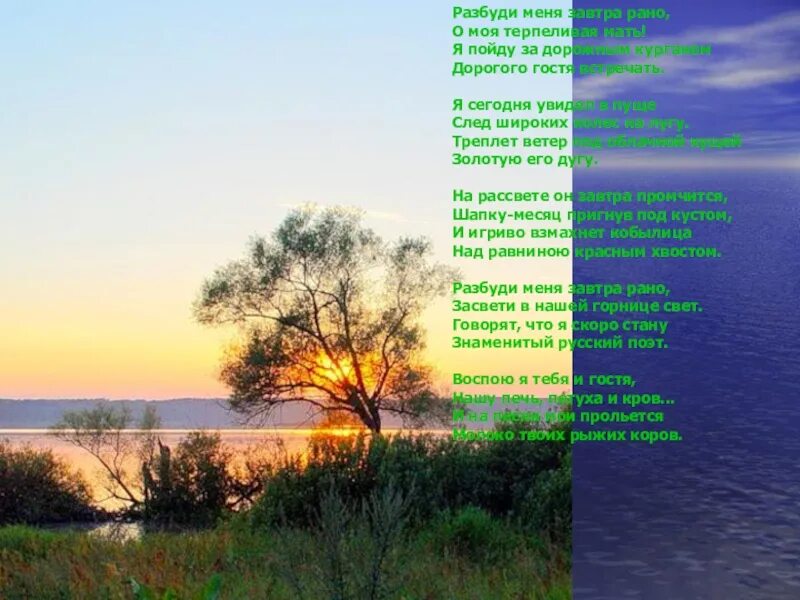 стихи есенина разбуди