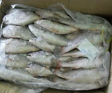 Рыба мороженая или мороженная
