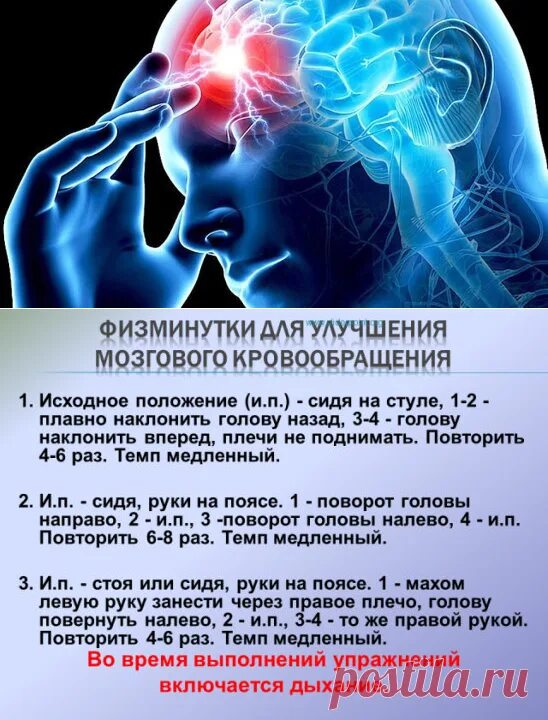 Для улучшения мозгового кровообращения. Тренировка мозга и памяти. Упражнения для мозга. Упражнения для циркуляции крови в головном мозге.