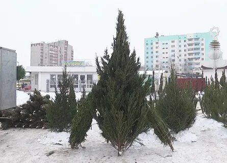 Базар нижнекамск