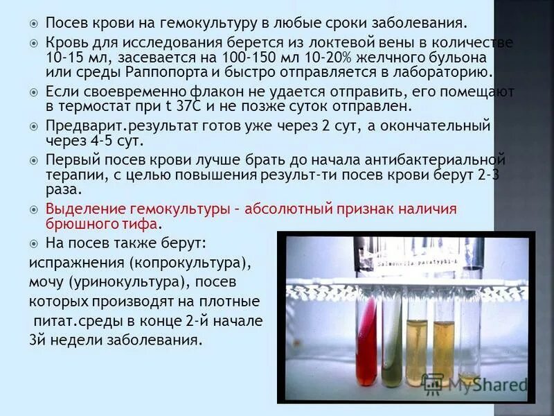 При заборе крови на гемокультуру направление оформляется. Гемокультура брюшного тифа. Посев крови на брюшной тиф.