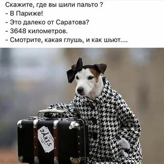 Это не то пальто