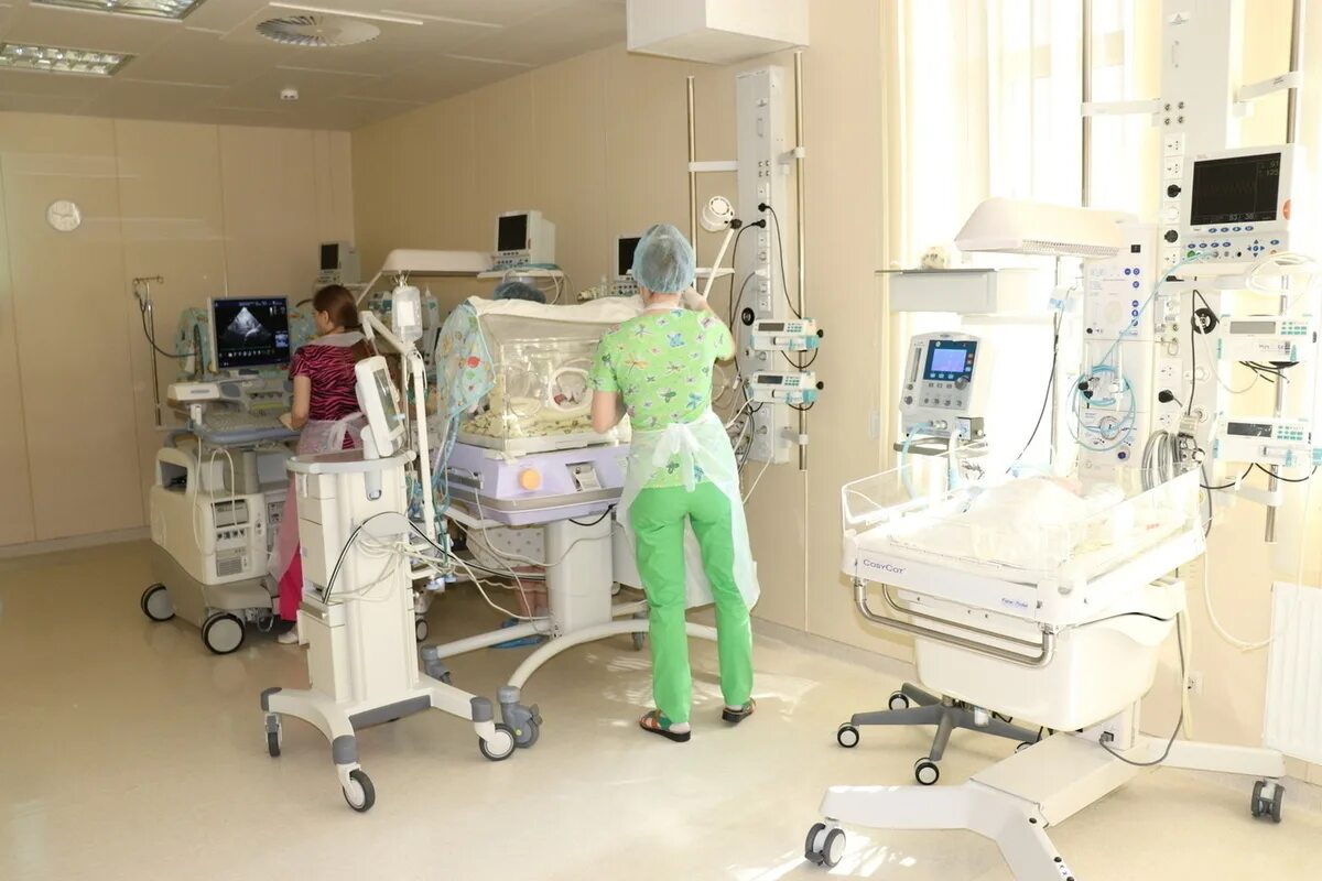 новый перинатальный центр чита коханского. забайкальский краевой перинатальный центр. новый перинатальный центр чита коханского 16. коханского 16 чита. коханского 16 чита.