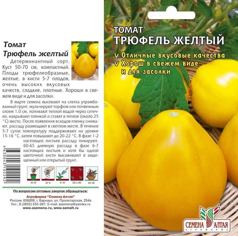 Помидоры сорт трюфель отзывы. Томат японский трюфель золотой. томат японский трюфель оранжевый. томат японский трюфель желтый сибирский сад. томат сорт японский трюфель золотой.