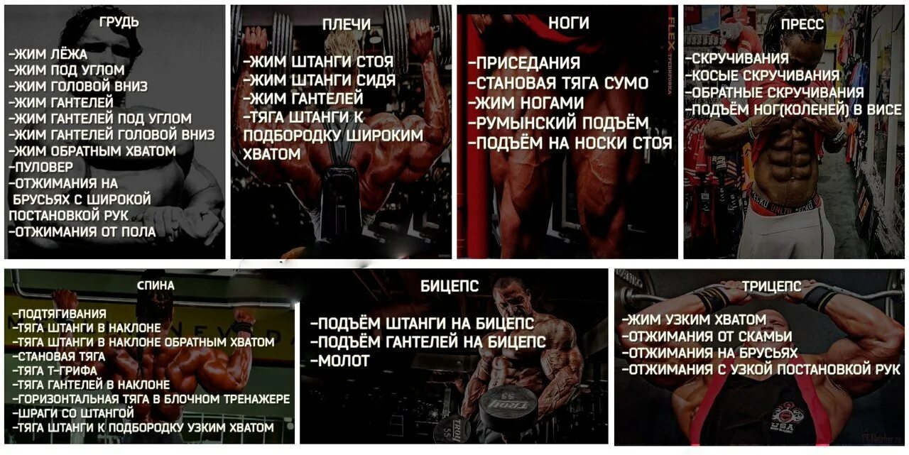 Тренировка в зале на группы мышц. Тянущие и толкающие мышечные группы. Тренировка ног и плеч программа. Упражнения на бицепс с гантелями подходы. Программа тренировок на ноги в тренажерном зале.