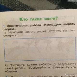 Шерсть окружающий мир 1 класс
