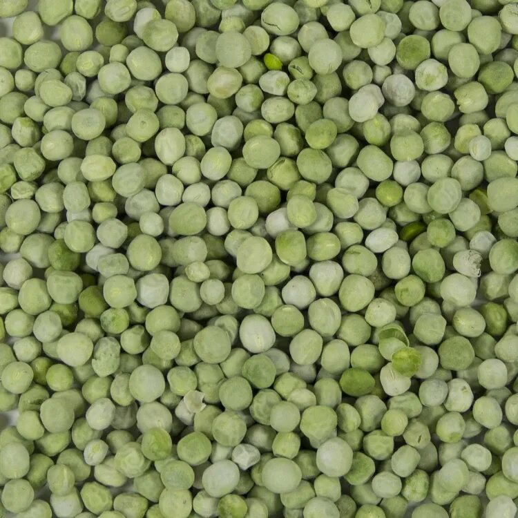 Green Peas горох. Green Peas горошек. Сушеный зеленый горох. Горошек сушеный. Продажа гороха