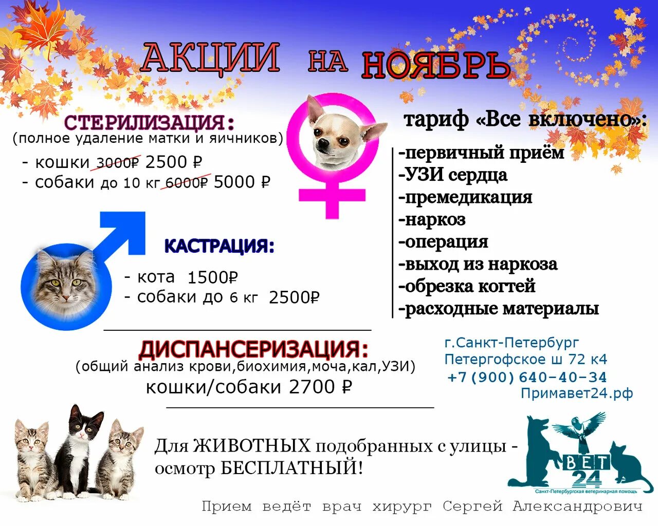 ветклиника осташковская 30. тушинская ветеринарная лечебница. ветклиника примавет осташковская. ветклиника примавет осташковская. иветас ветклиника мурманск.