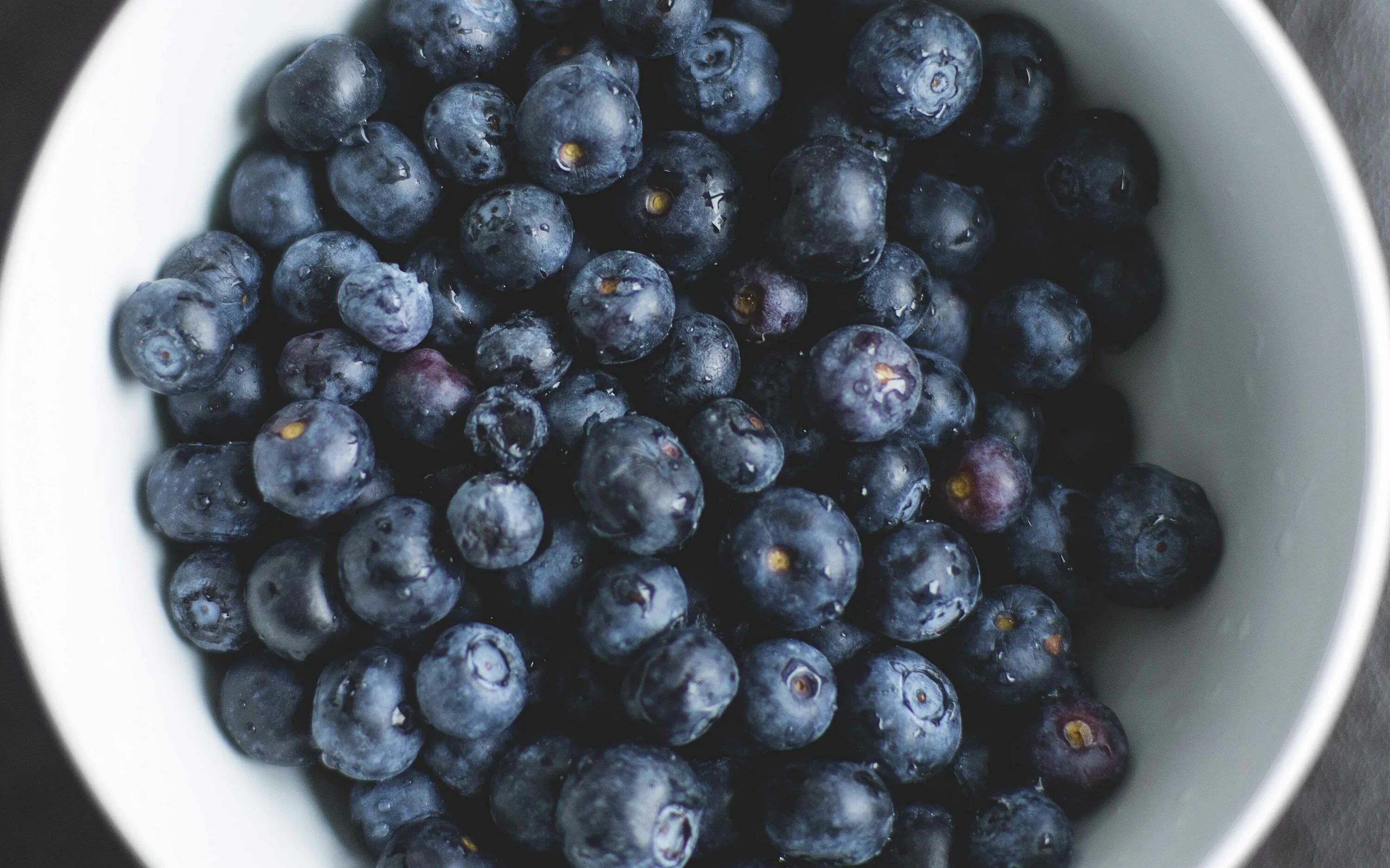 Черника (vaccinium myrtillus). Черника отличие от голубики. Черника blueberry. Голубика. Эффект черники.