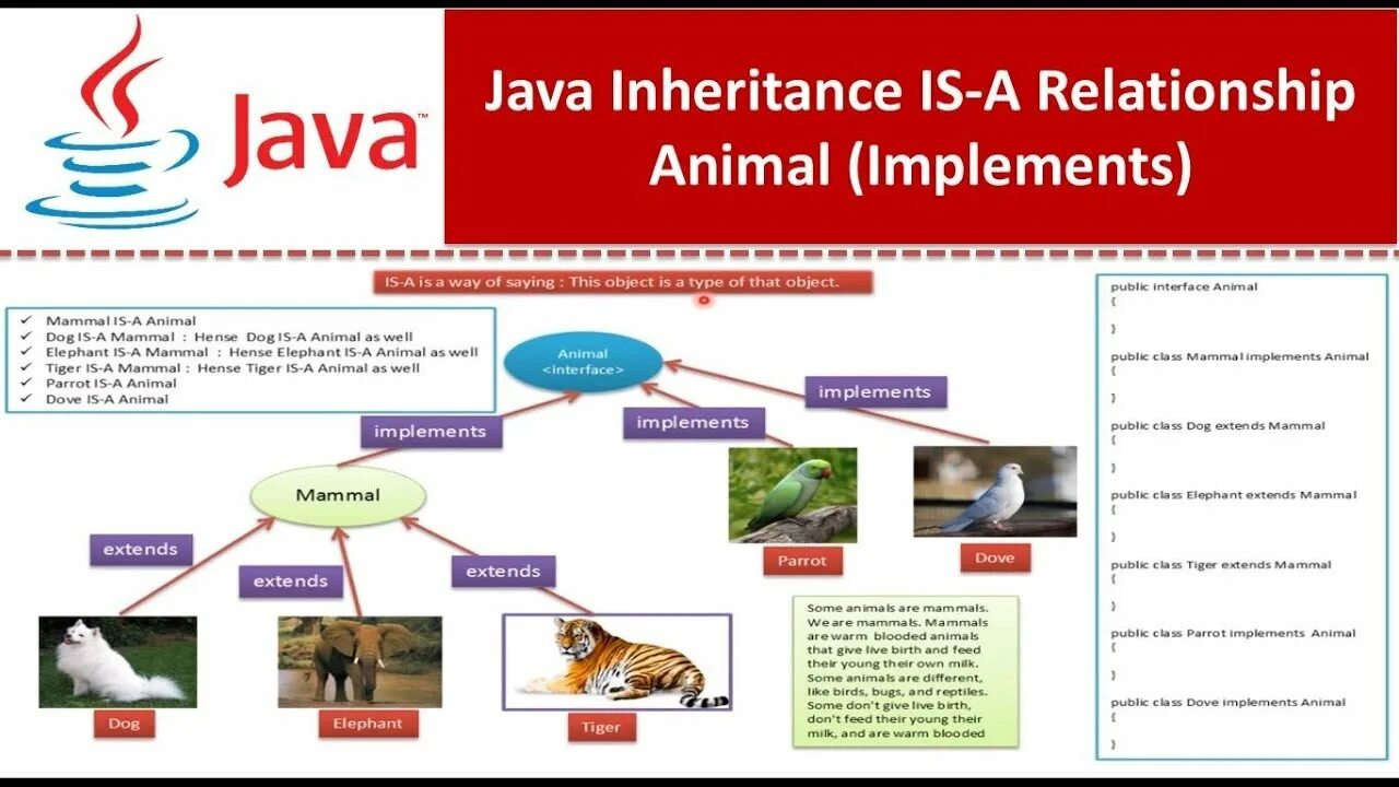 Implements java. Inheritance java. inheritance java пример. extends implements java.