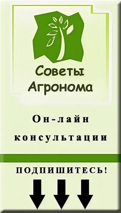 Богатый урожай журнал. Мужик с урожаем картошки. Советы агронома. Мужчина на грядках. Советы агронома.
